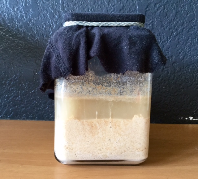 Healthy Eating on $4 a Day in a Food Desert. Fermenting Begins- sourdough starter