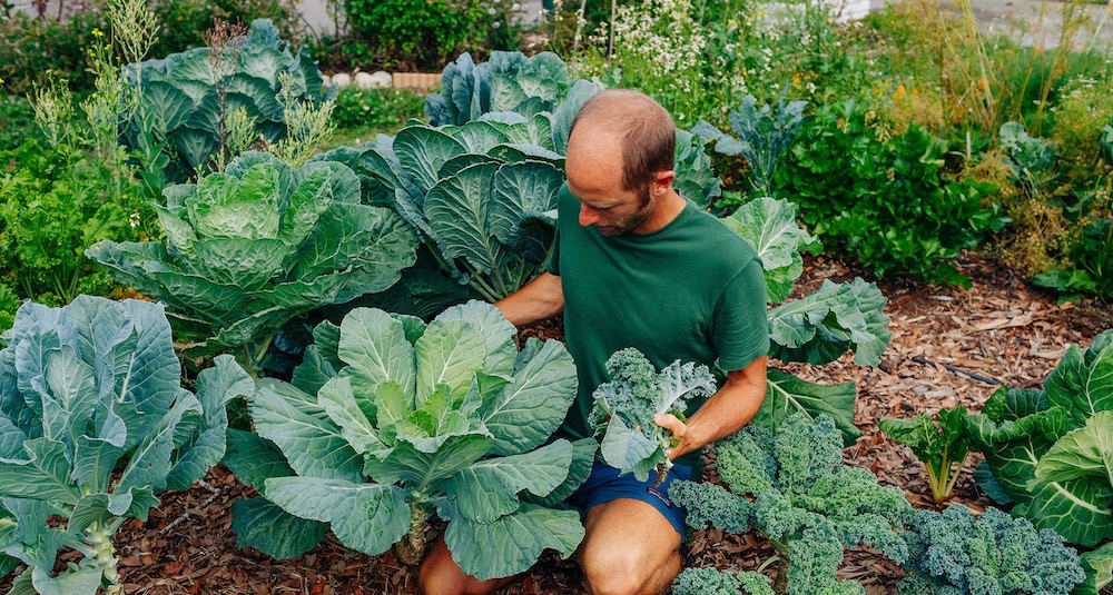 Rob Greenfield S Guide To Gardening For Beginners In Orlando